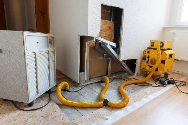 Best Water Damage & Mold Remediation  in West Clarkston Highland, WA